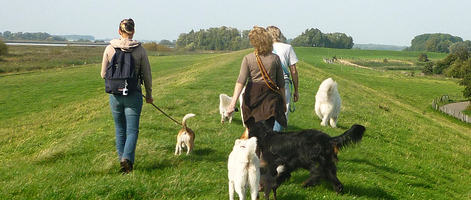 Erlebnissparziergang